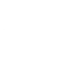 Logo del Dott. Raffaele Paparella ginecologo Roma